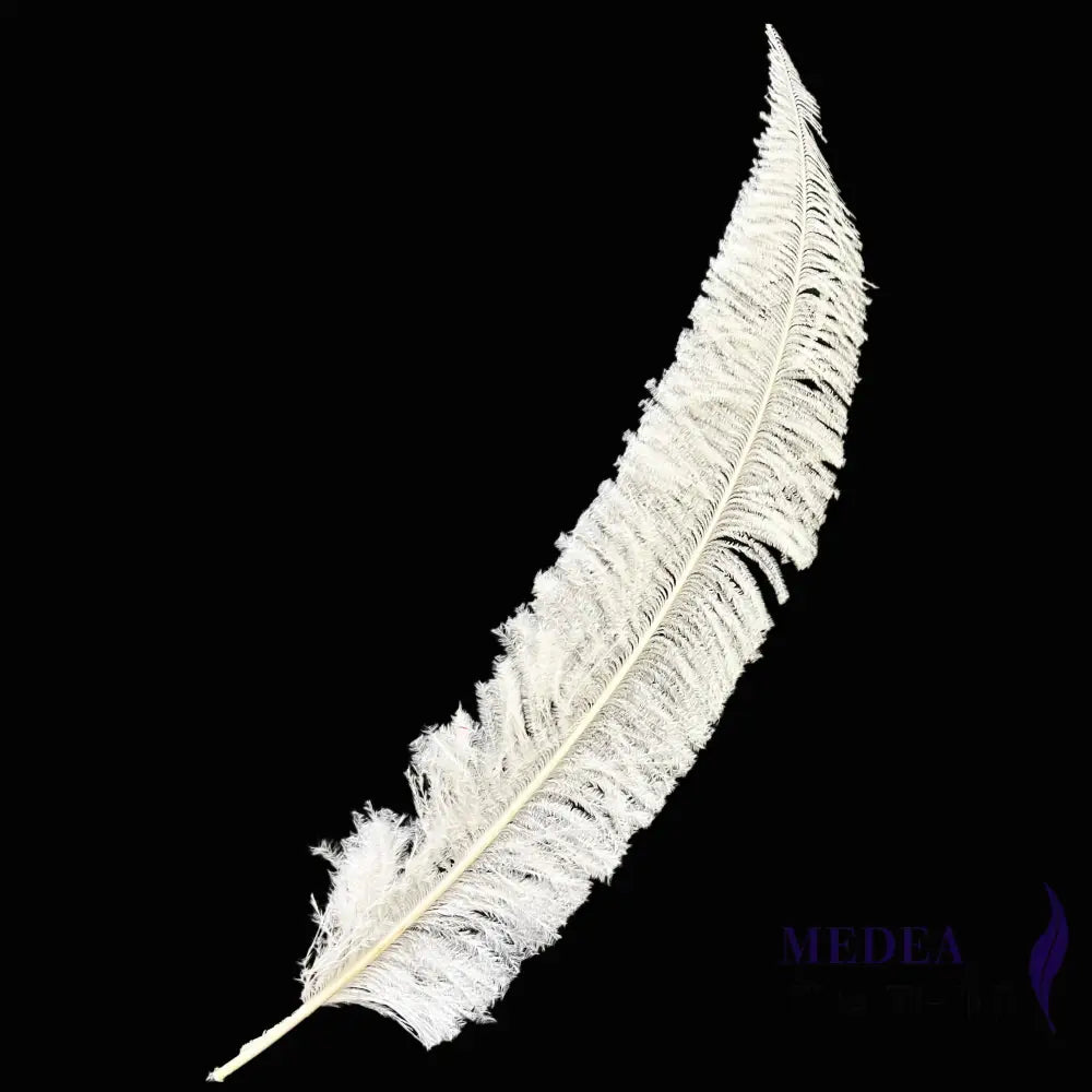 Long Clipped Ostrich Feather Plume 55-60cm - #02white