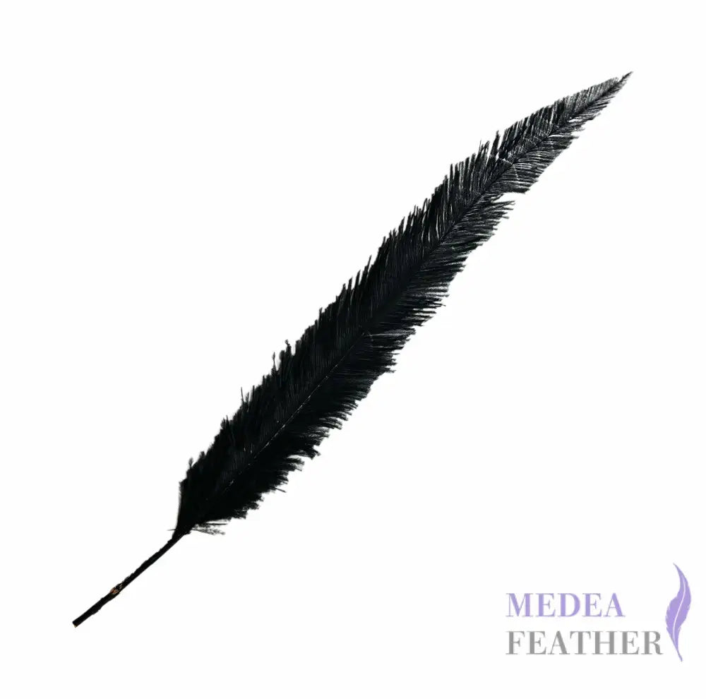 Long Clipped Ostrich Feather Plume 55-60cm - #03black