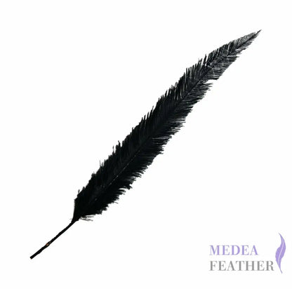 Long Clipped Ostrich Feather Plume 55-60cm - #03black