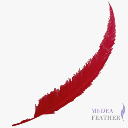 Long Clipped Ostrich Feather Plume 55-60cm - #22red