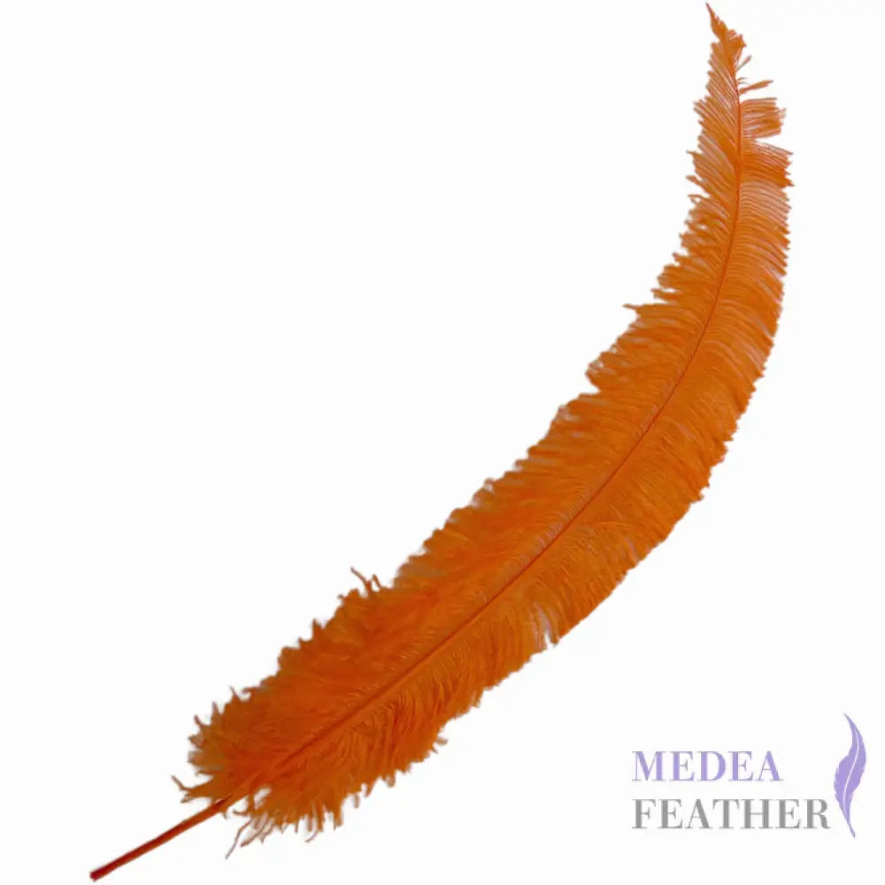 Long Clipped Ostrich Feather Plume 55-60cm - #24carrot