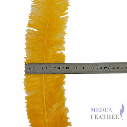 Long Clipped Ostrich Feather Plume 55-60cm
