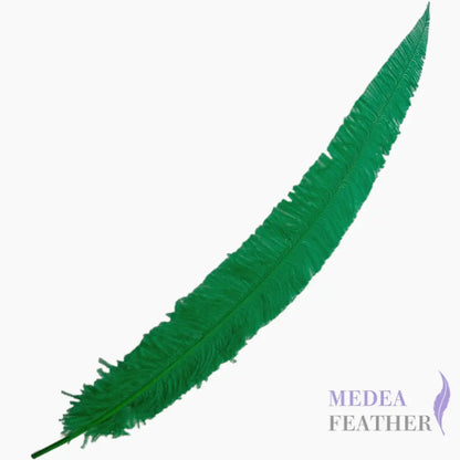 Long Clipped Ostrich Feather Plume 55-60cm - #70bright green