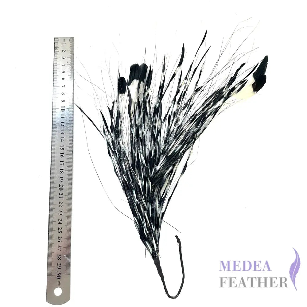 Long Gradient Goose Biot Feather Mount