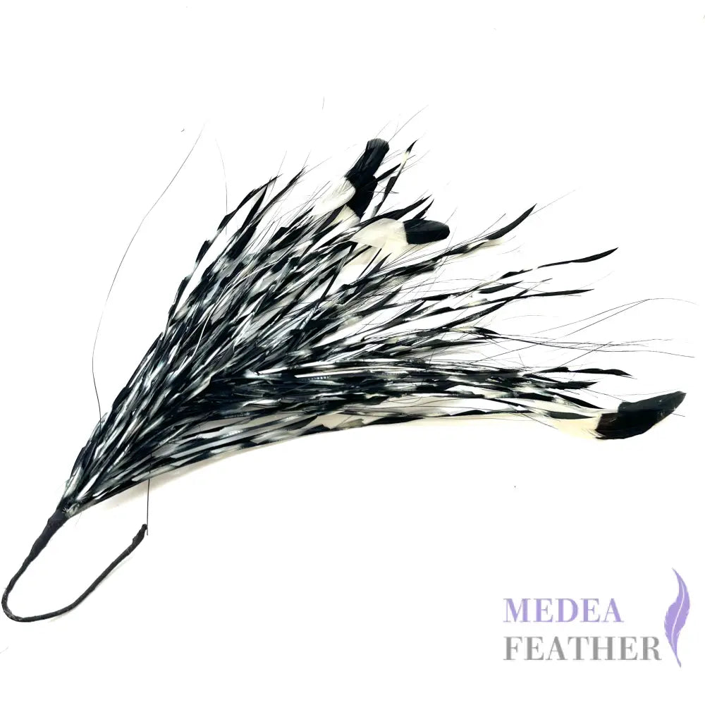 Long Gradient Goose Biot Feather Mount