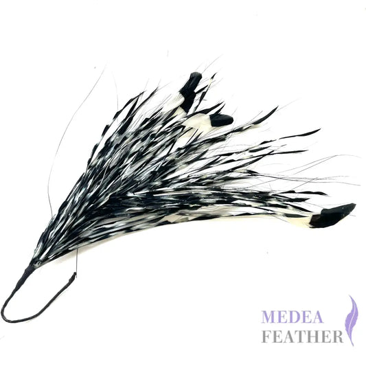 Long Gradient Goose Biot Feather Mount
