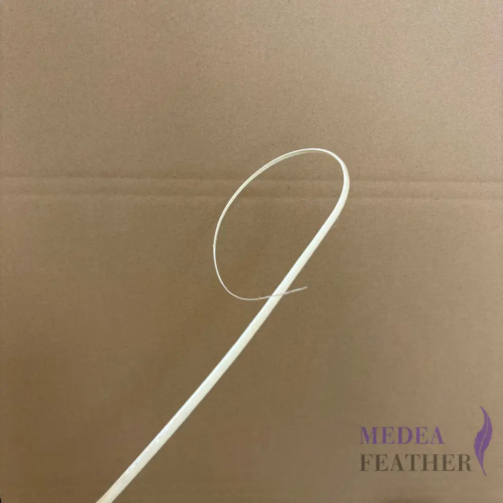 Loop Curved Ostrich Feather Quill - #01 Ivory