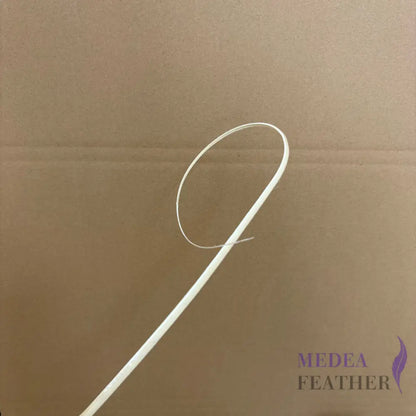 Loop Curved Ostrich Feather Quill - #01 Ivory