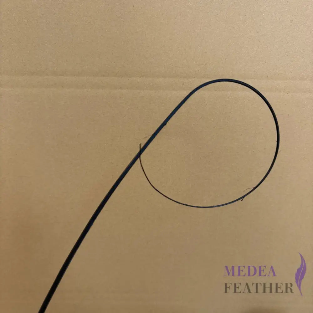 Loop Curved Ostrich Feather Quill - #03 black