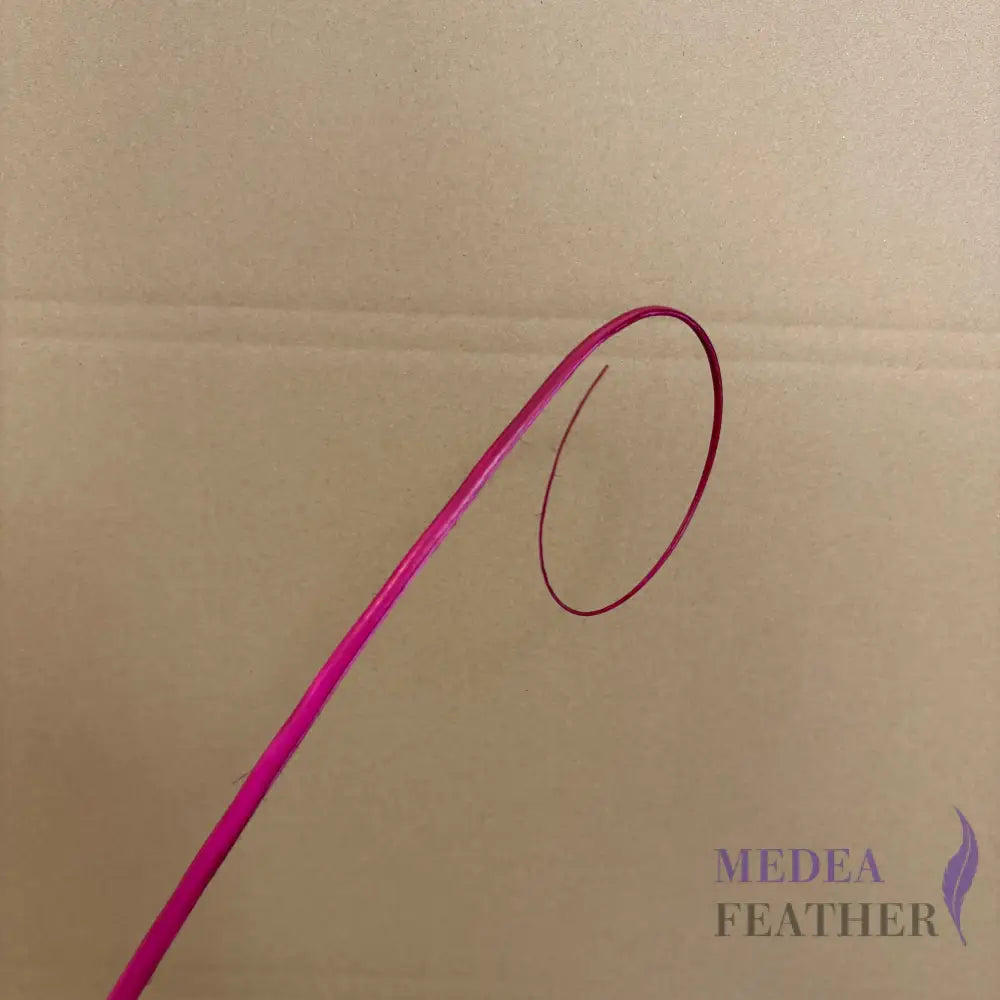 Loop Curved Ostrich Feather Quill - #18 Baton rouge
