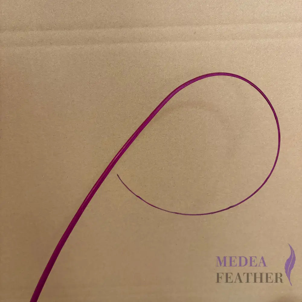 Loop Curved Ostrich Feather Quill