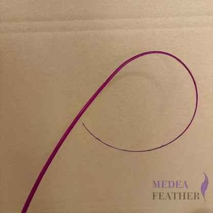 Loop Curved Ostrich Feather Quill