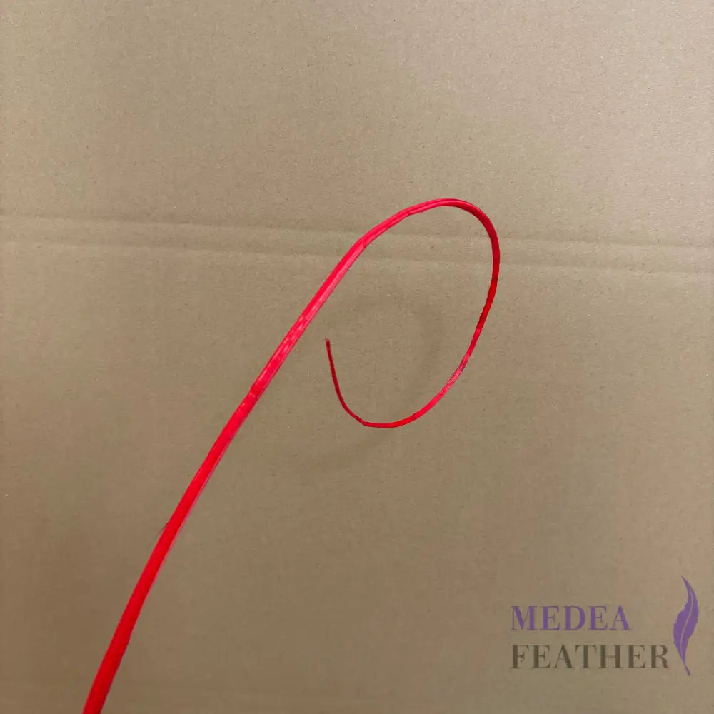 Loop Curved Ostrich Feather Quill - #22 red
