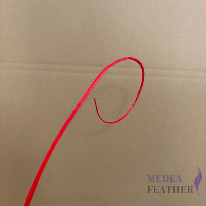 Loop Curved Ostrich Feather Quill - #22 red