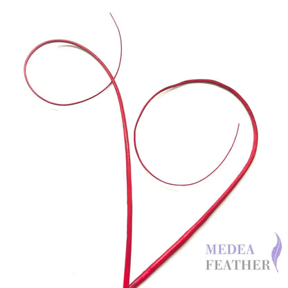 Loop Curved Ostrich Feather Quill - #23 tango red