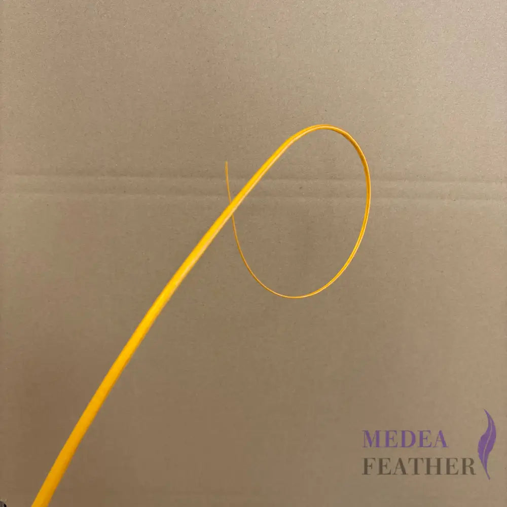 Loop Curved Ostrich Feather Quill - #25 saffron