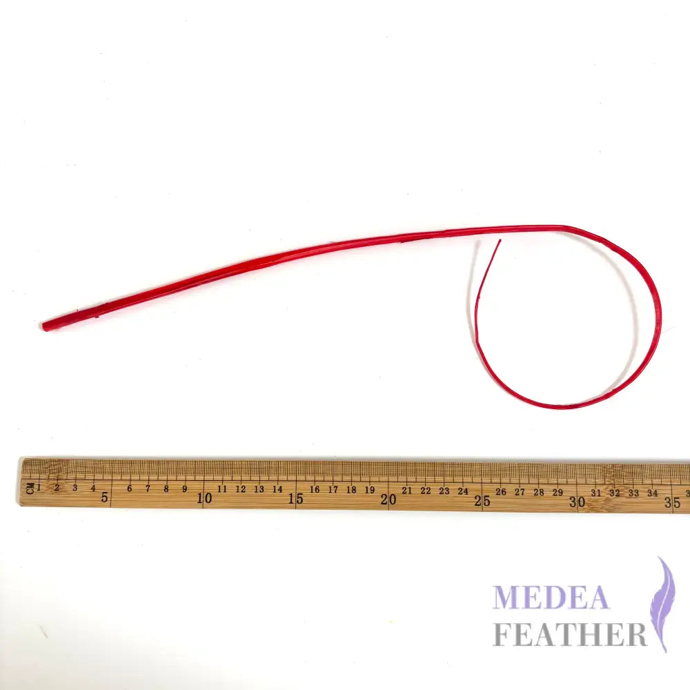 Loop Curved Ostrich Feather Quill