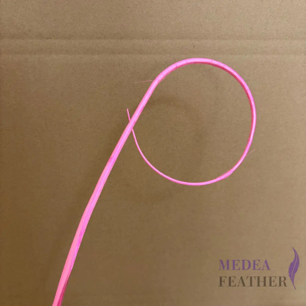 Loop Curved Ostrich Feather Quill - #51 pink