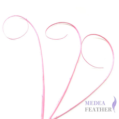 Loop Curved Ostrich Feather Quill - #51 pink