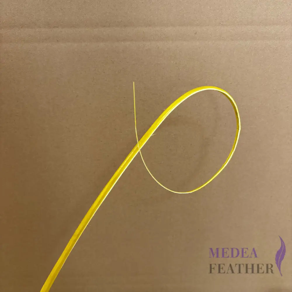 Loop Curved Ostrich Feather Quill - #58 yellow