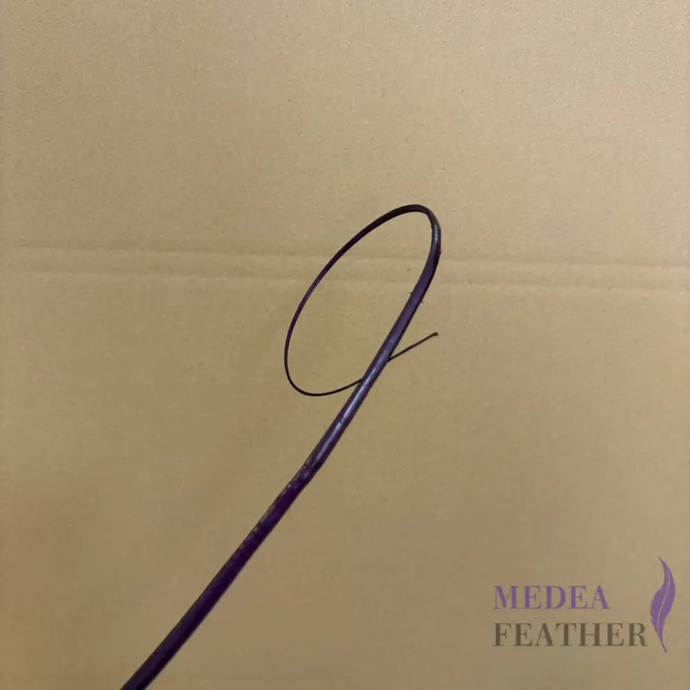 Loop Curved Ostrich Feather Quill - #60 dark purple