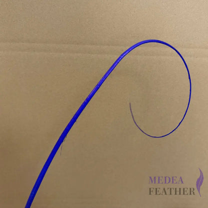 Loop Curved Ostrich Feather Quill - #67 royal blue
