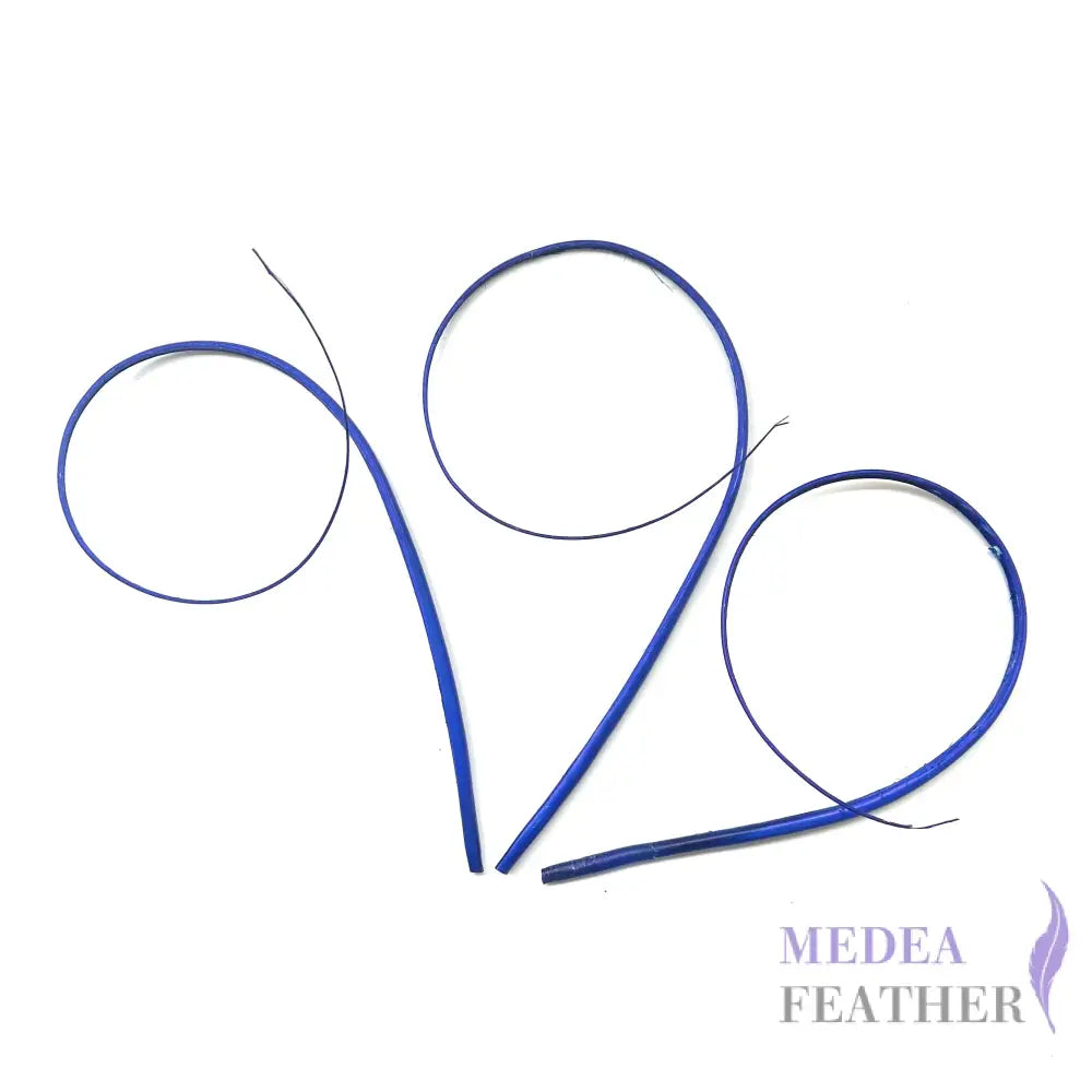 Loop Curved Ostrich Feather Quill - #67 royal blue