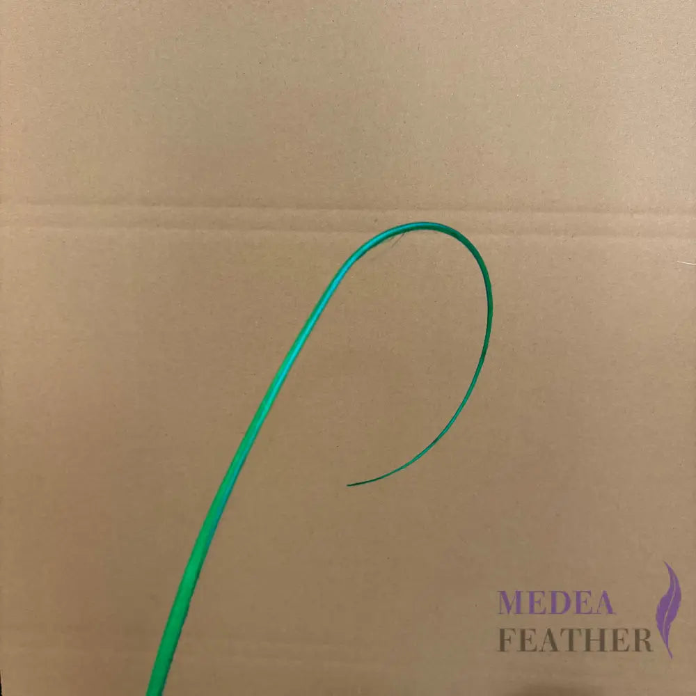Loop Curved Ostrich Feather Quill - #70 bright green