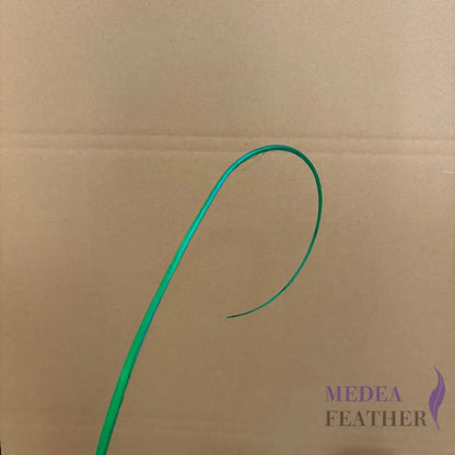 Loop Curved Ostrich Feather Quill - #70 bright green