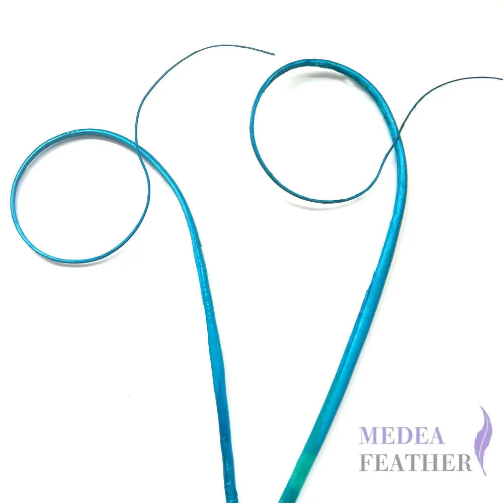 Loop Curved Ostrich Feather Quill - #78 turquoise