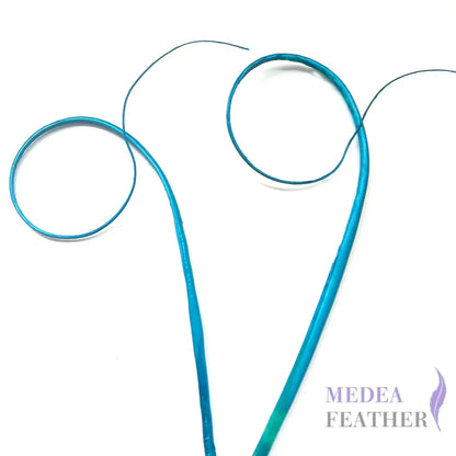Loop Curved Ostrich Feather Quill - #78 turquoise