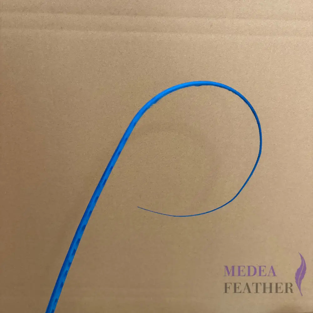 Loop Curved Ostrich Feather Quill - #78 turquoise