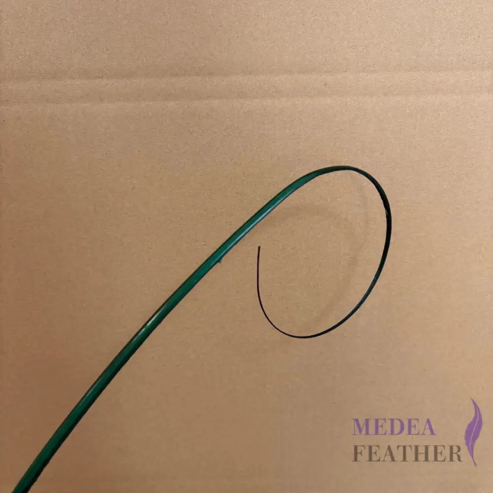 Loop Curved Ostrich Feather Quill - #96 dark green