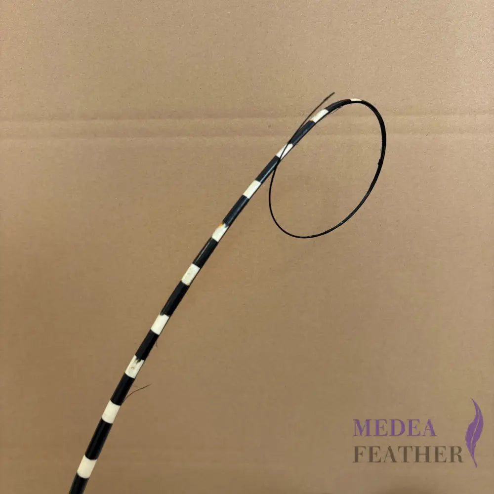 Loop Two Tone Ostrich Feather Quill