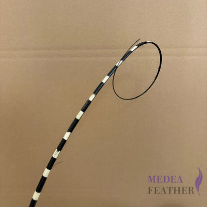 Loop Two Tone Ostrich Feather Quill