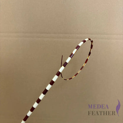 Loop Two Tone Ostrich Feather Quill