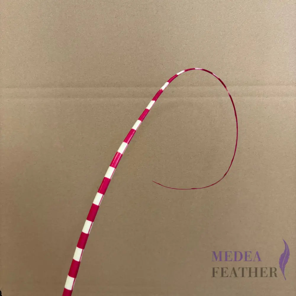 Loop Two Tone Ostrich Feather Quill