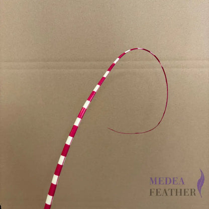 Loop Two Tone Ostrich Feather Quill