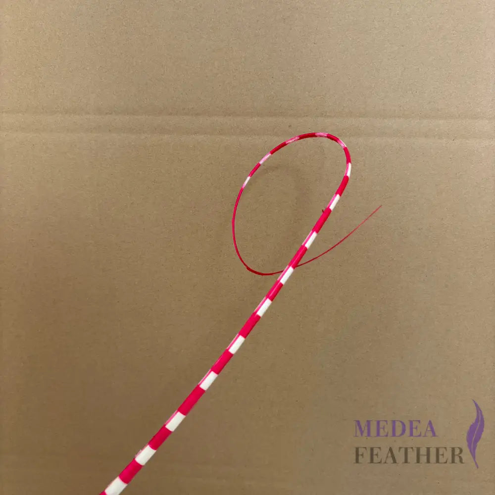 Loop Two Tone Ostrich Feather Quill