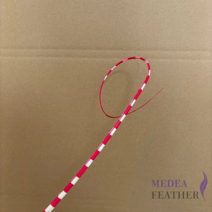 Loop Two Tone Ostrich Feather Quill