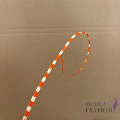 Loop Two Tone Ostrich Feather Quill