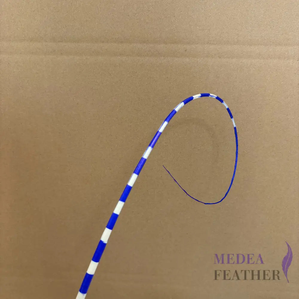 Loop Two Tone Ostrich Feather Quill