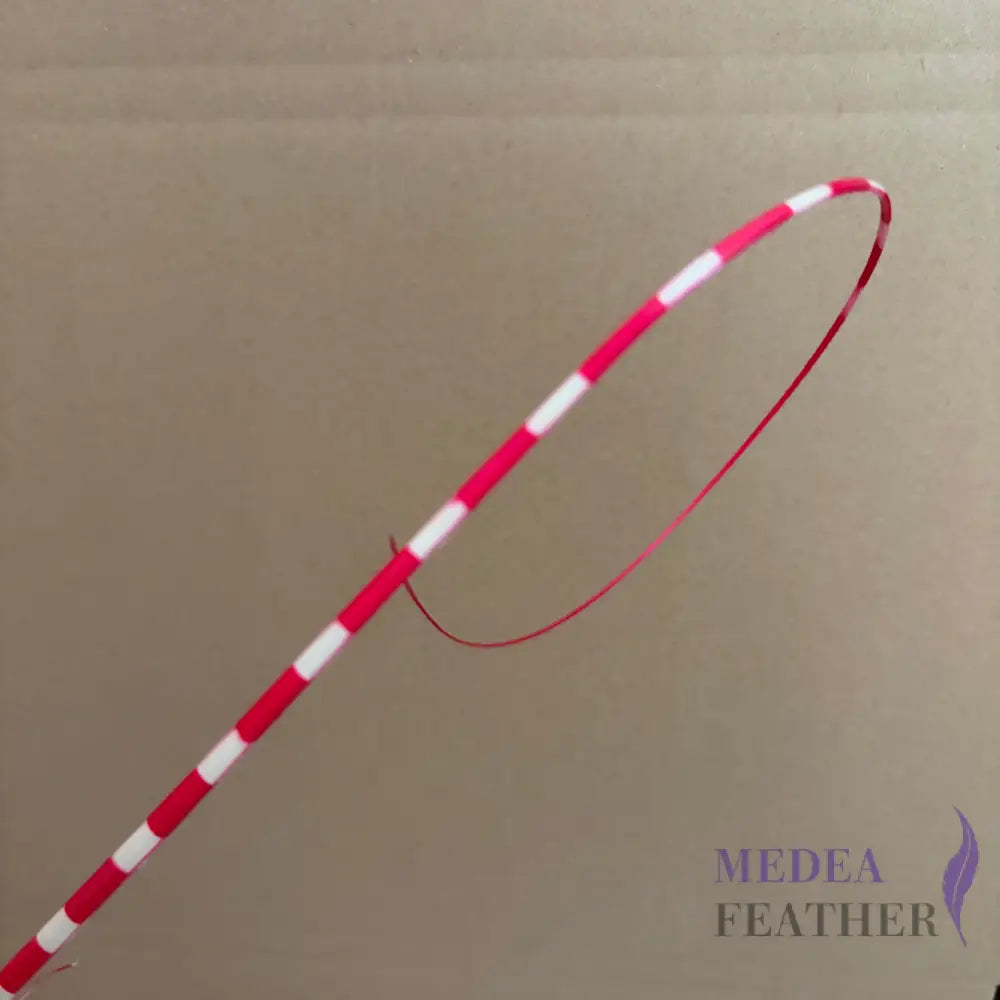 Loop Two Tone Ostrich Feather Quill - #92 hot pink
