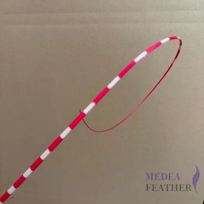 Loop Two Tone Ostrich Feather Quill - #92 hot pink