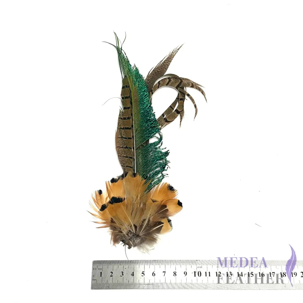 Medium Country Feather Mount CFM04