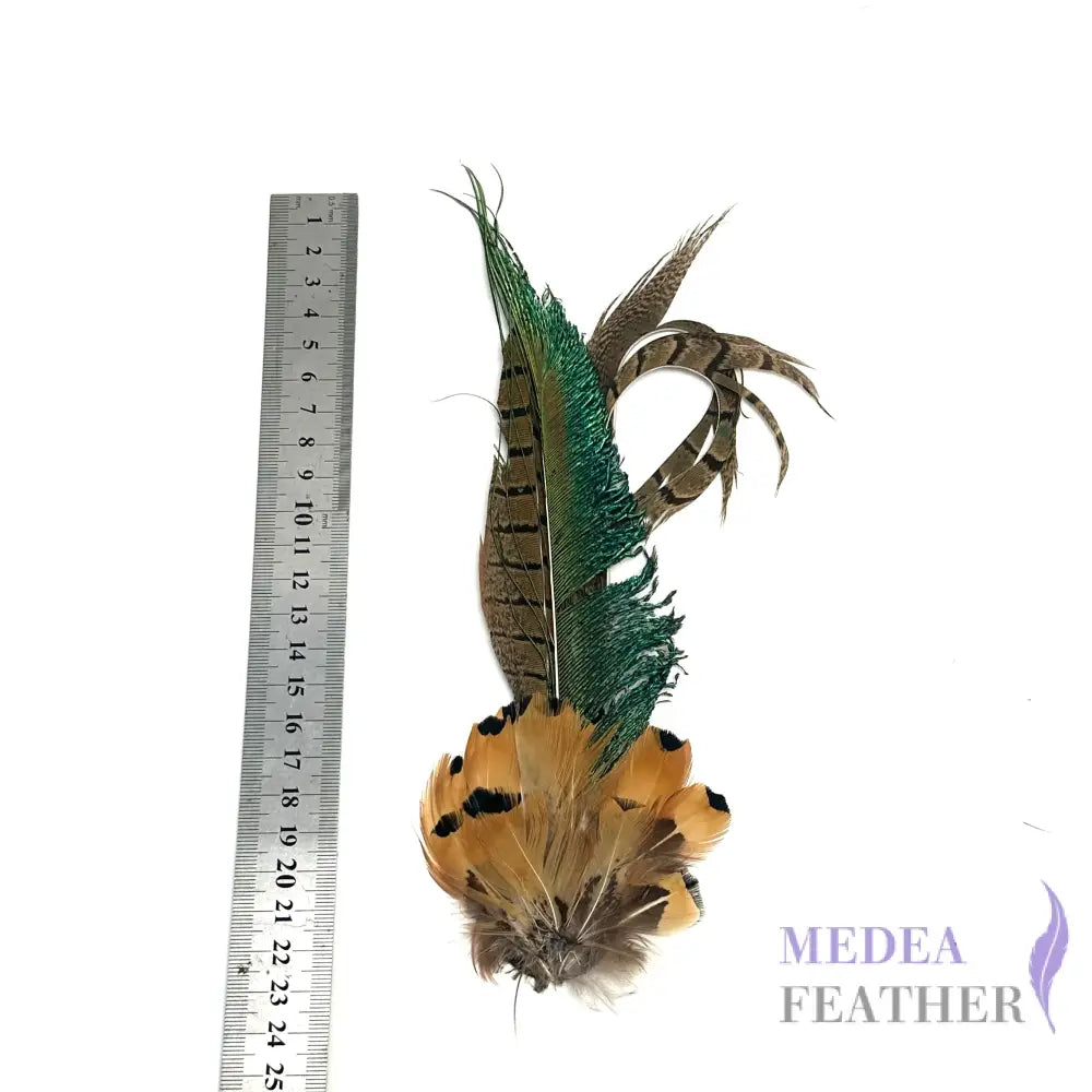 Medium Country Feather Mount CFM04