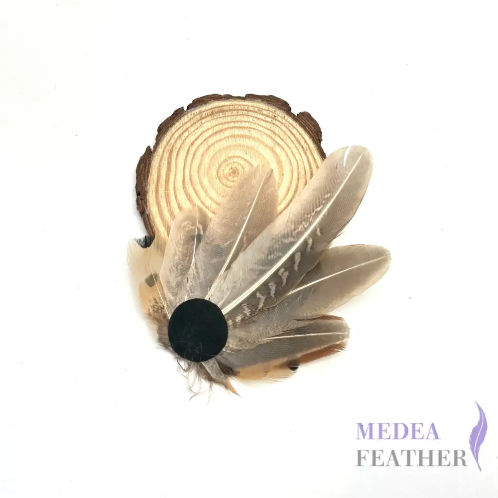 Medium Country Feather Mount CFM05
