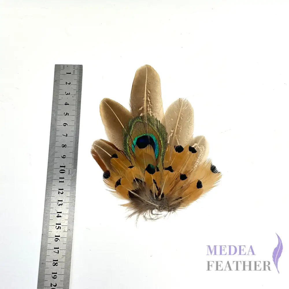 Medium Country Feather Mount CFM05