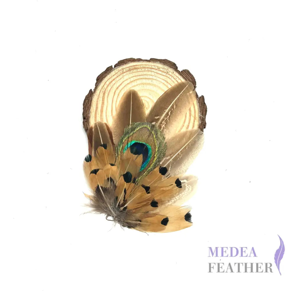 Medium Country Feather Mount CFM05