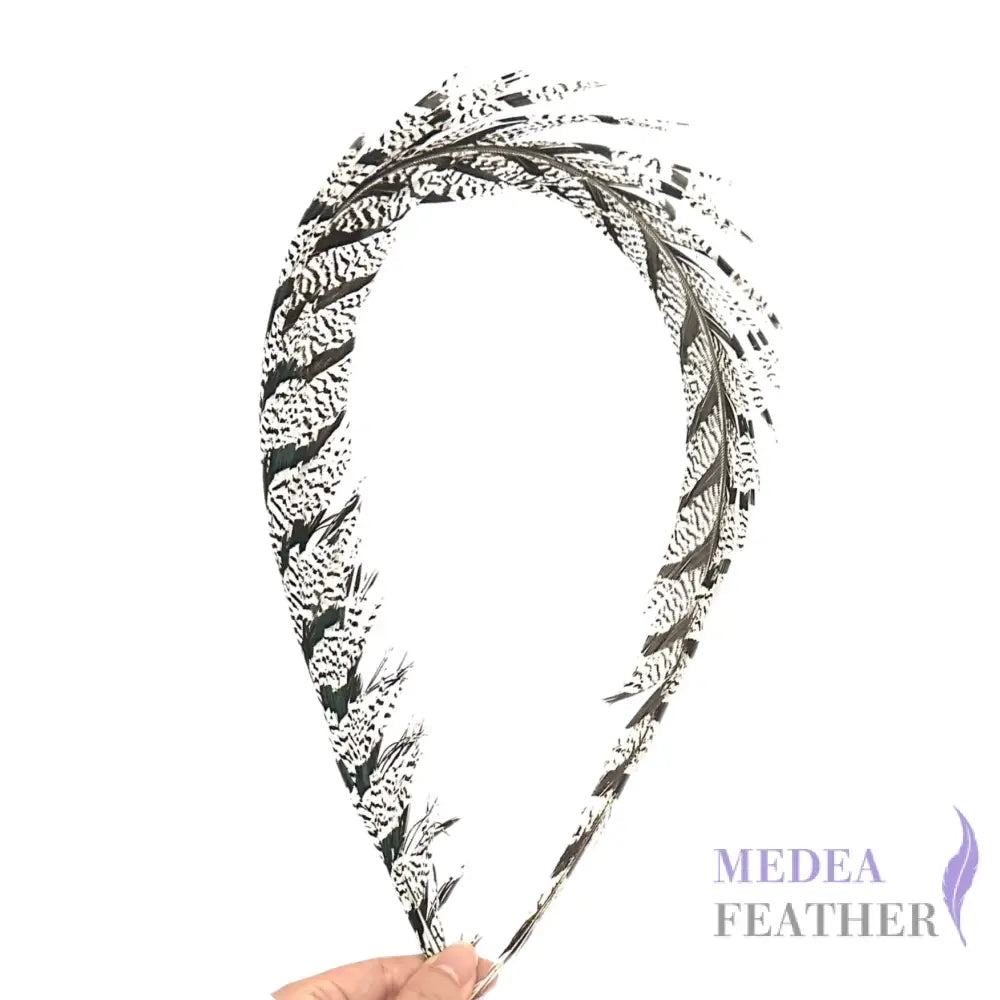 Multi-colour Lady Amherst Pheasant Tail Feather (80-90cm)